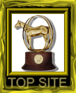 Gold Award for Excellence in Website Design and Content