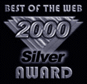 Nielsen Web Sites Business Graphics Silver Award Winner for Design