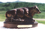 On a Sunny Day - bronze by sculptor Susan Lynes